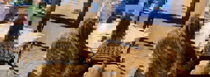 Shining a light on the interview process with Illuminate