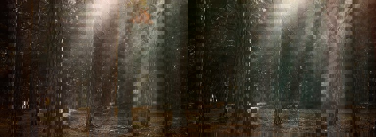 Pexels Oleksandr Pidvalnyi 345522